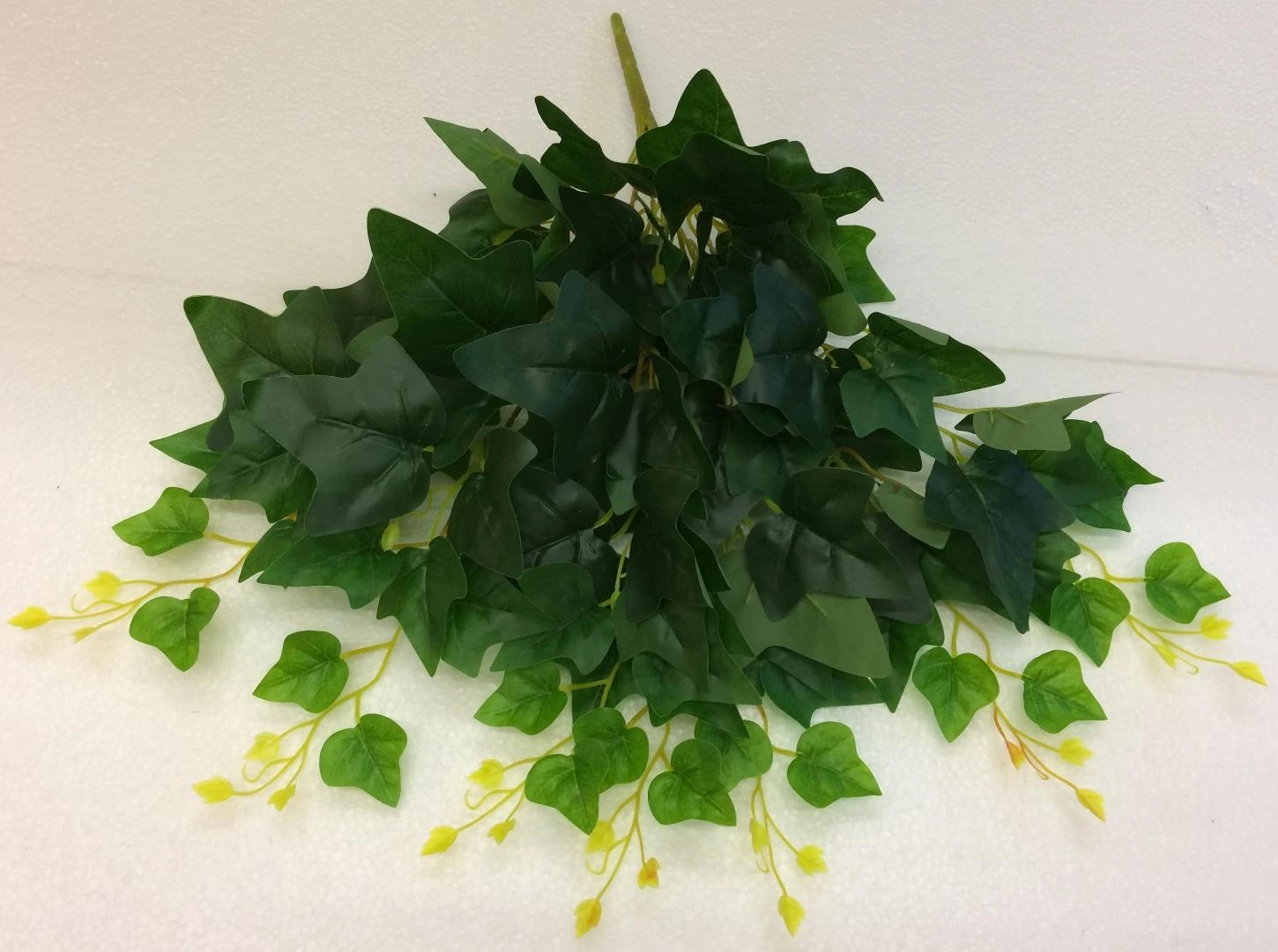 Maple Natural Leaf Creeper sml